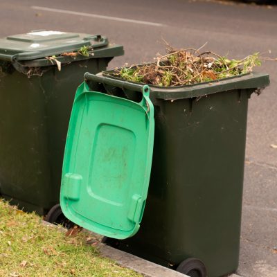 What is Green Waste: Everything You Need To Know About Gardening Waste