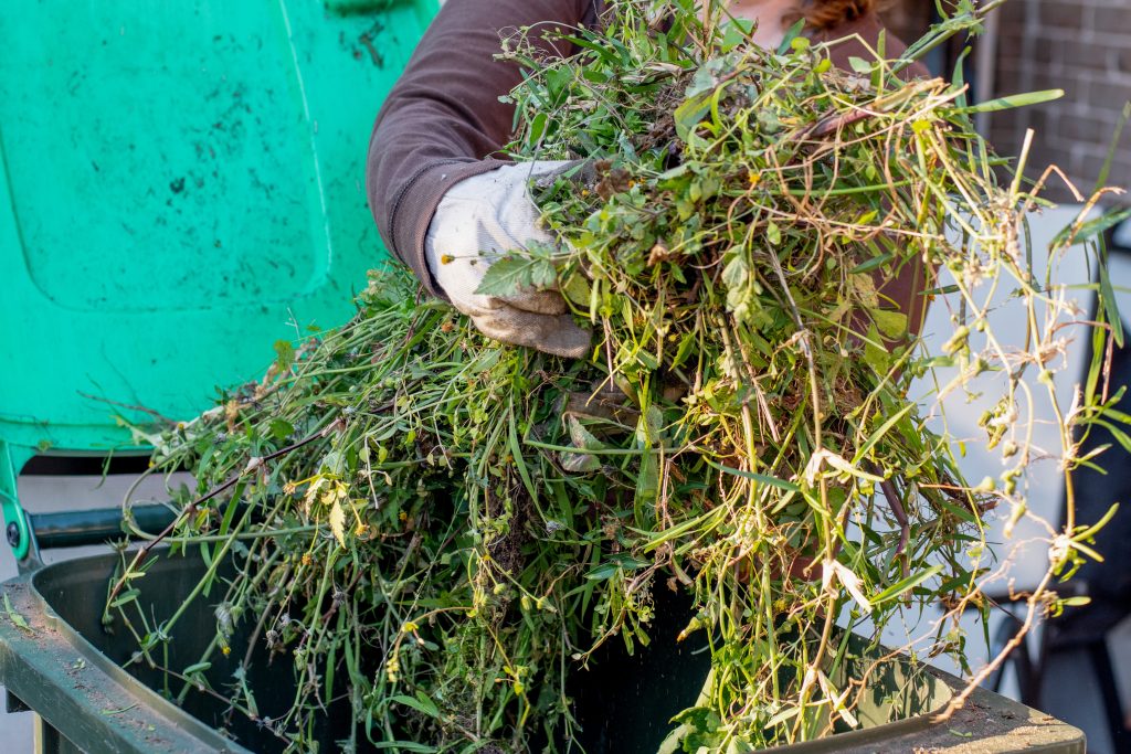 woman holding green waste lawn clippings 