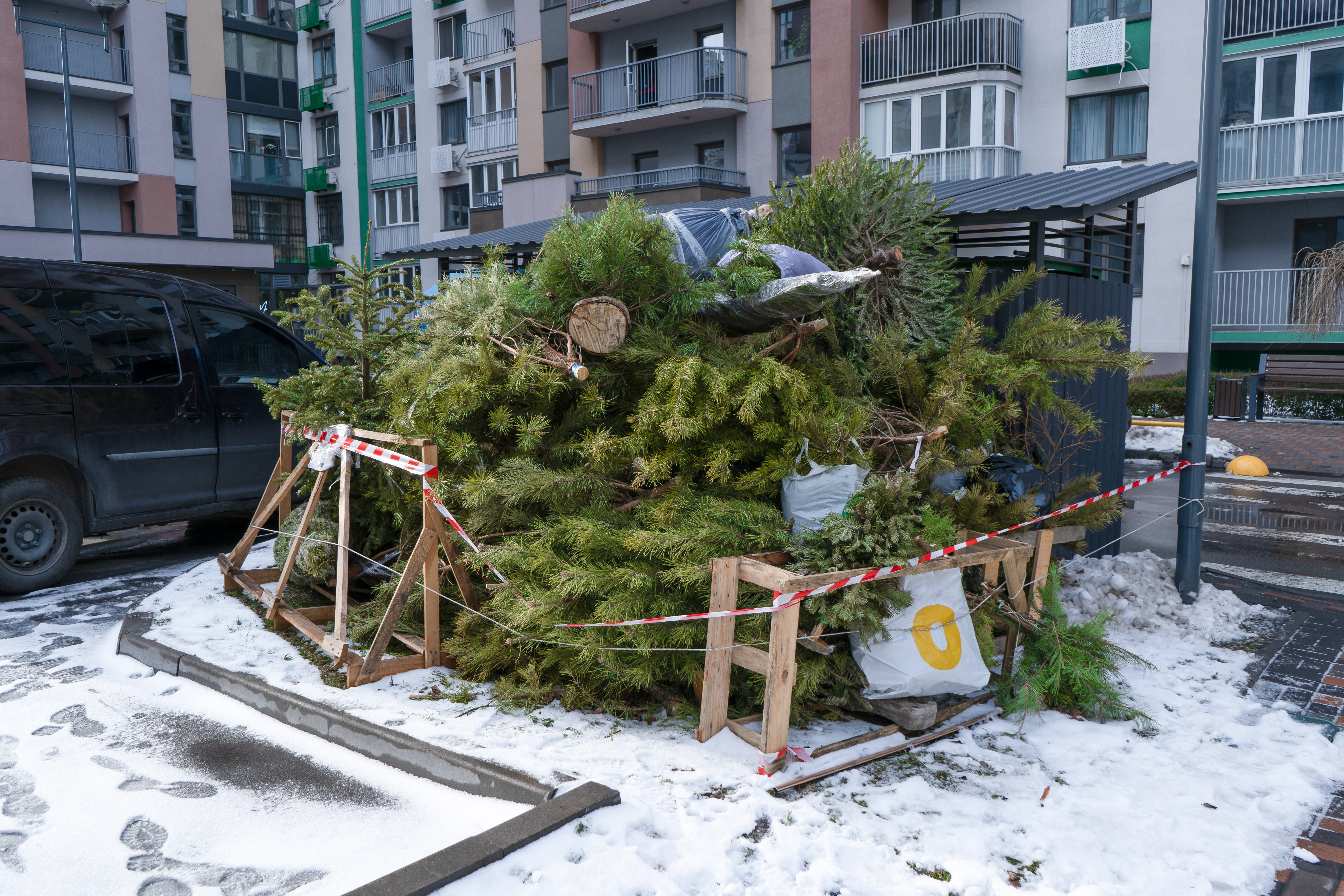 limit waste this Christmas - Recycling Christmas trees after the holidays. A Christmas tree thrown into the trash in a landfill in the courtyard of a residential building.